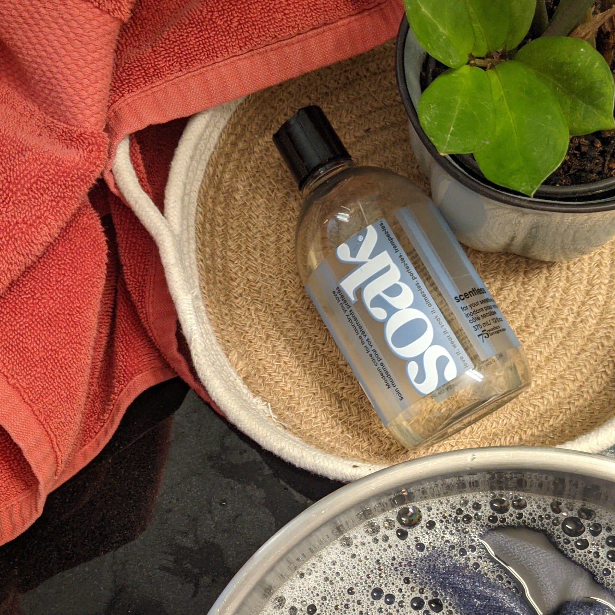 Soak Scentless Wash