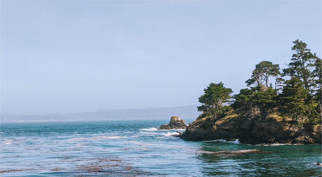 Californian coast with cypress tress along a rock shore with blue ocean and waves.